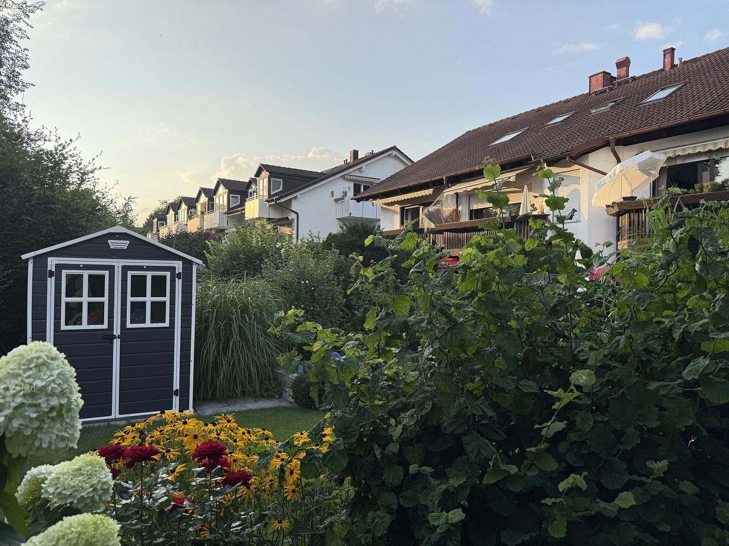Muthstraße 5